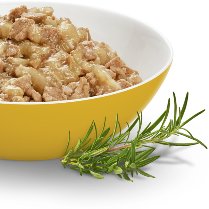 Een gele kom kattenvoer