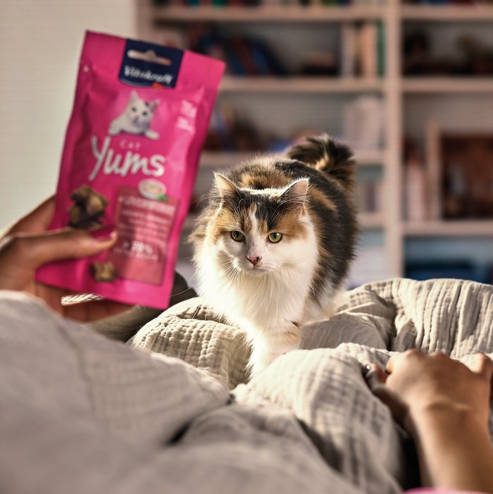 Keyvisual Vitakraft Produkt Cat Yums f&uuml;r Katzen
