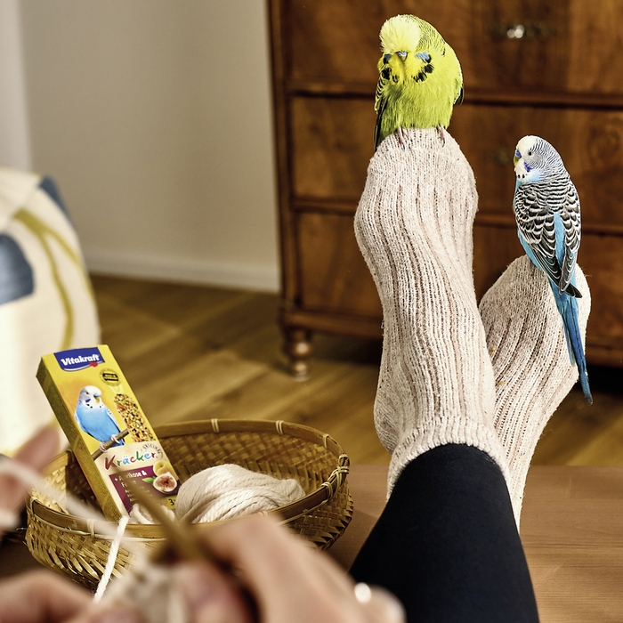 Vogel Kr&auml;cker Snacks