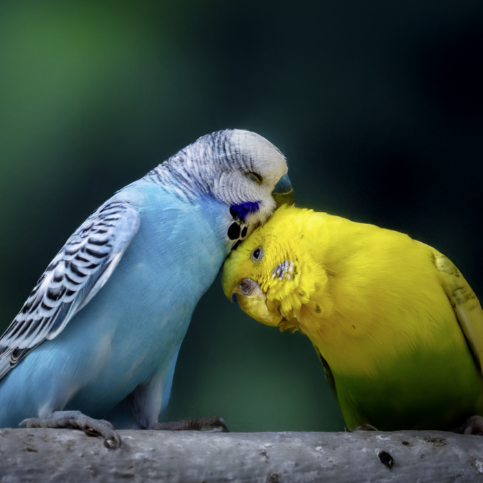 Vogel Vita Fit Keyvisual