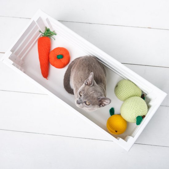 Cat sits in a small box with vegetables on the side