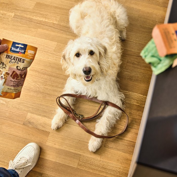 Keyvisual Vitakraft Produkt Treaties Bits für Hunde
