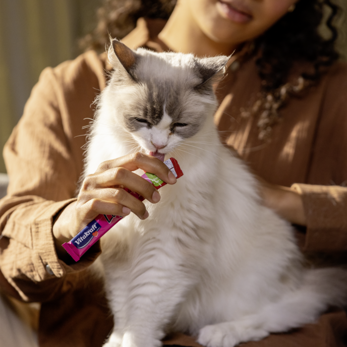 Katze Liquid Snack 