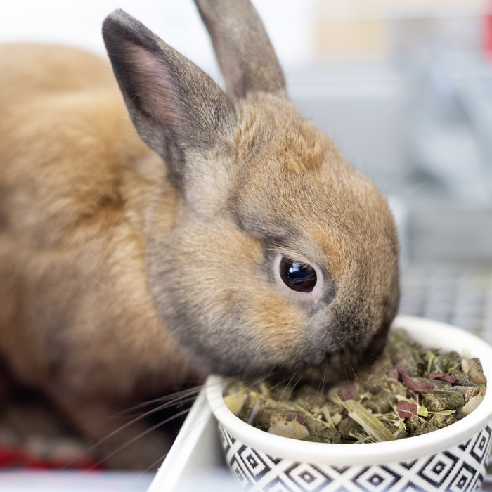 Nager Vita Verde Hauptfutter