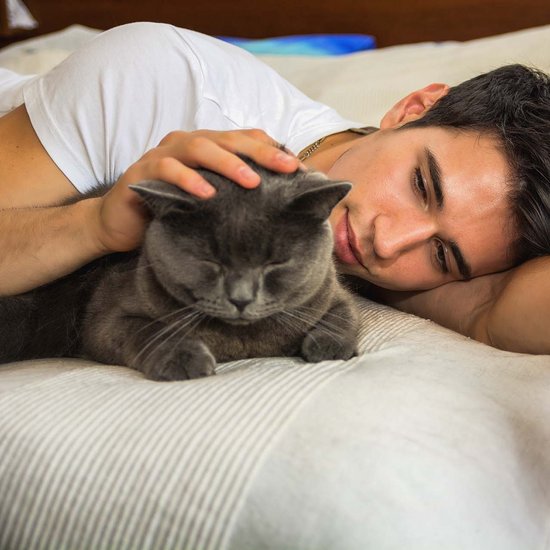 Cat lying on the bed with its owner and cuddling