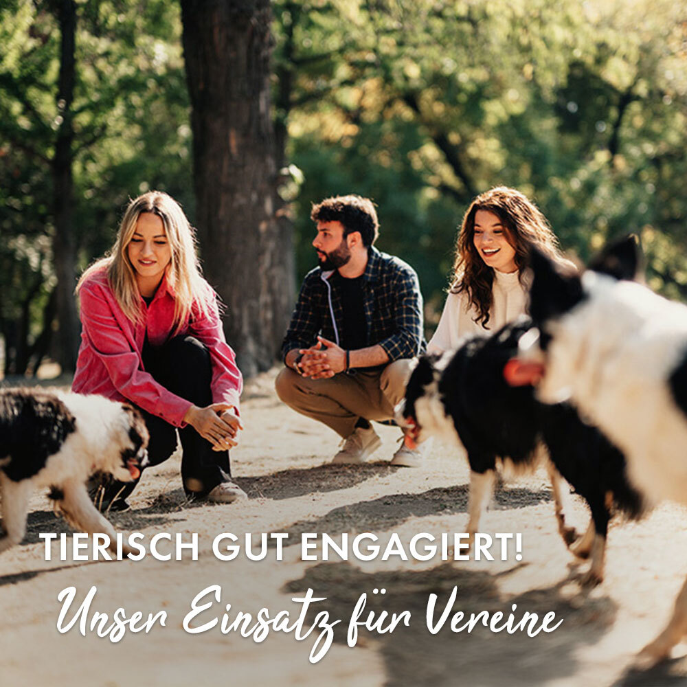 Hunde und Besitzer:innen im Park mit dem Claim: Tierisch gut engagiert! Unser Einsatz f&uuml;r Vereine