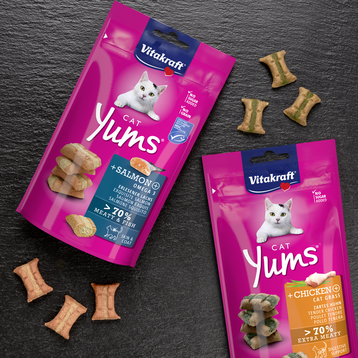 Cat Yums Healthy Lachs und Huhn