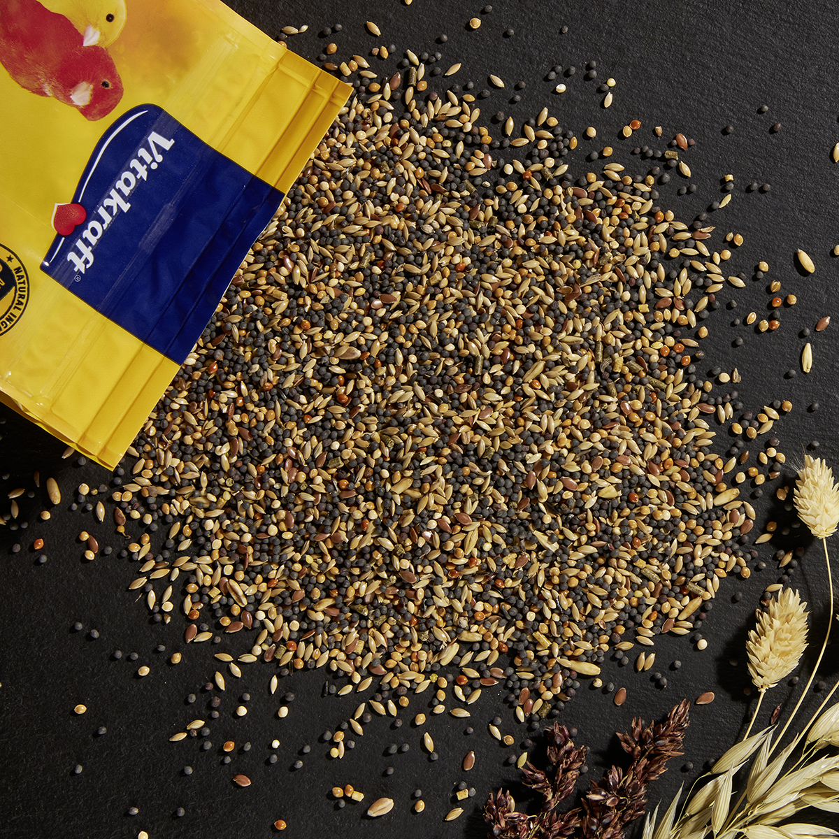 Vogel Hauptfutter Menu für Kanarienvögel